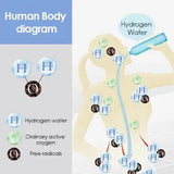 Hydrogen-rich water cup 2L - AVYXO