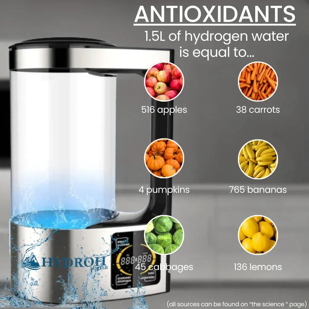 Hydrogen-rich water cup  2L - AVYXO